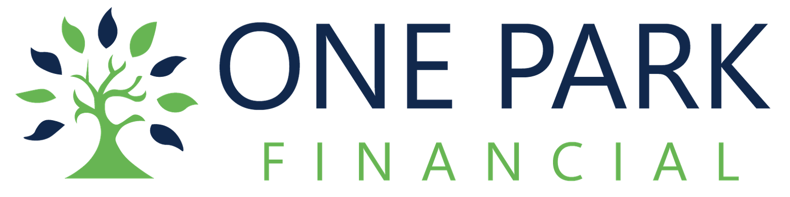One Park Financial